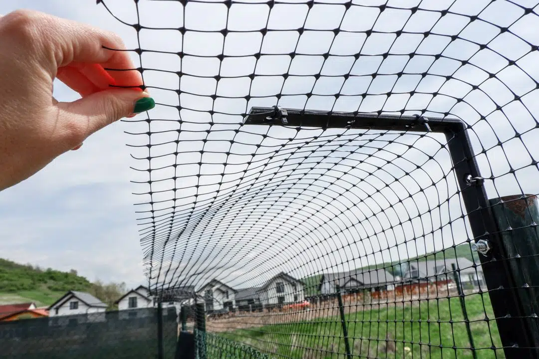 Cat fence step 10